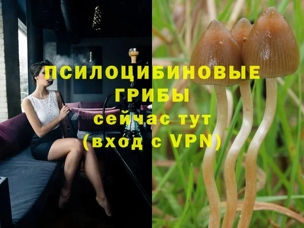 таблы Майский