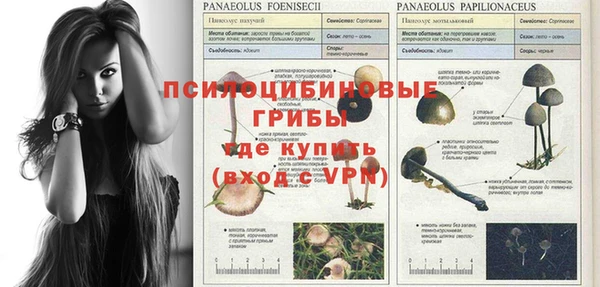 MDMA Premium VHQ Магас
