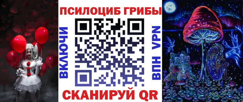 Купить закладки  Фрязино  Галлюциногенные грибы Psilocybine cubensis 